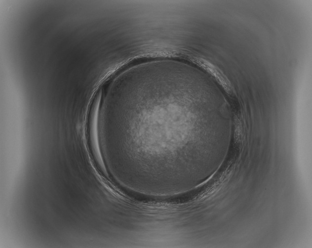 X0000113780677200909231316
