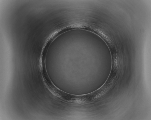 X0000113780678200909231316