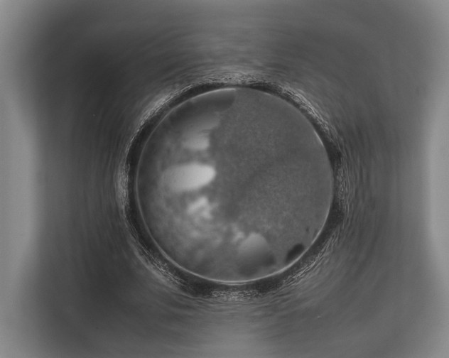 X0000113780679200909231316