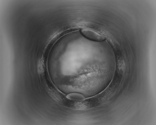 X0000113780680200909231316