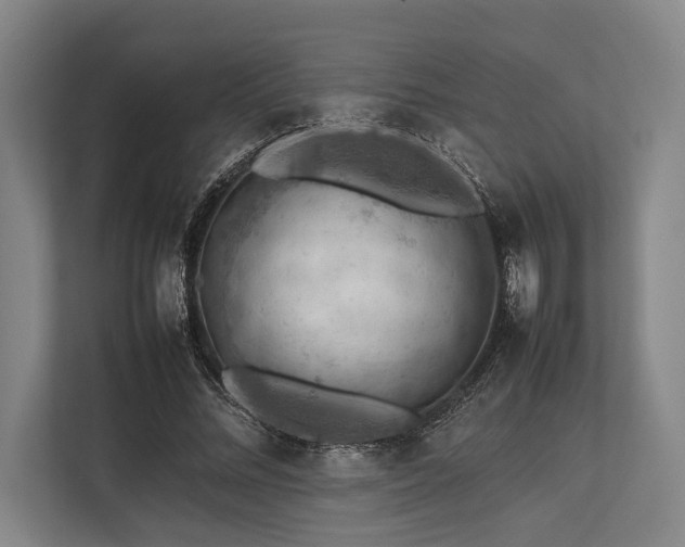 X0000113780684200909231316