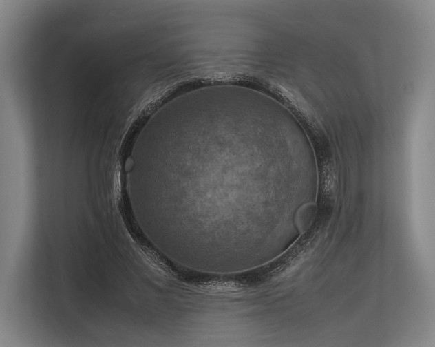 X0000113780685200909231316