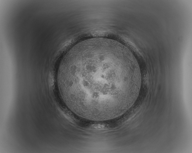 X0000113780687200909231316
