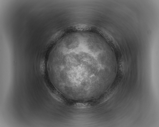 X0000113780690200909231316