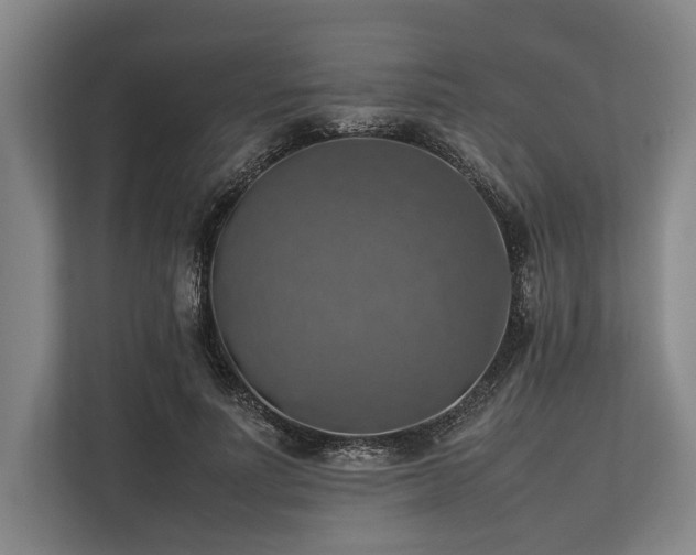 X0000113780691200909231316