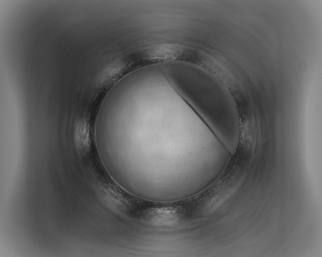 X0000113780692200909231316