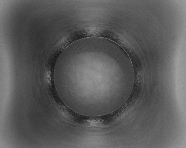 X0000113780693200909231316