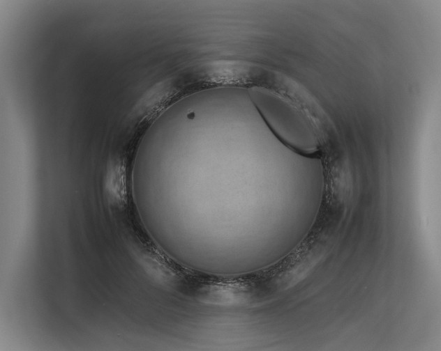 X0000113780696200909231316