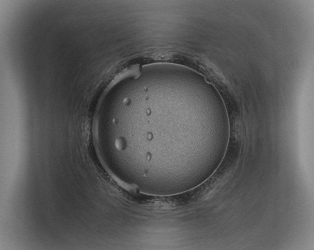 X0000113780697200909231316