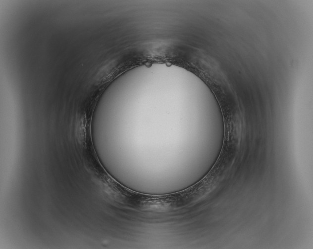 X0000113780702200909231316