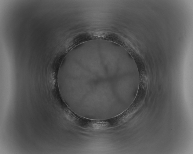 X0000113780707200909231315