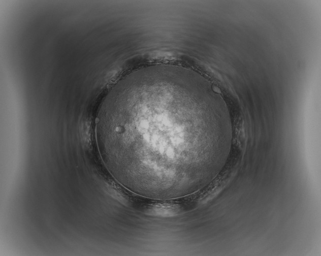 X0000113780708200909231315