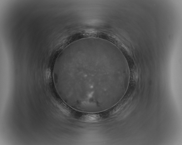X0000113780711200909231315