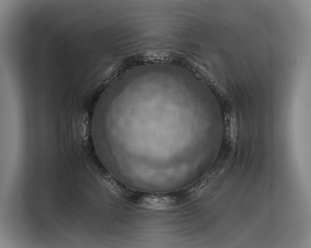 X0000113780712200909231315