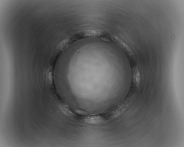X0000113780716200909231315