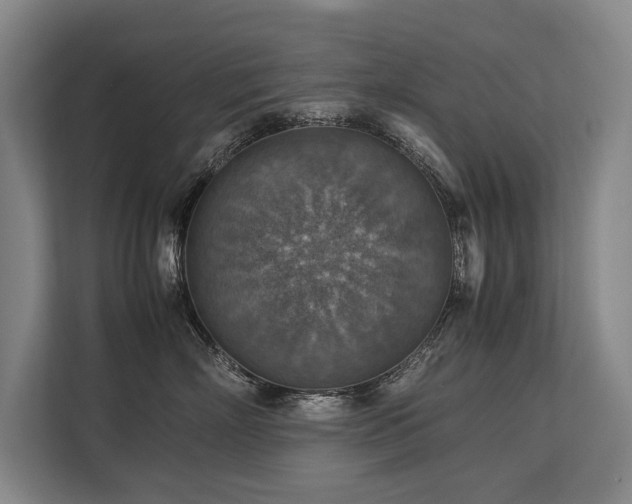 X0000113780718200909231315