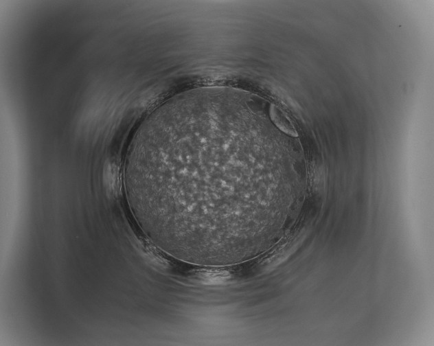 X0000113780719200909231315