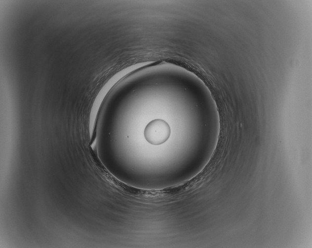 X0000113780720200909231315