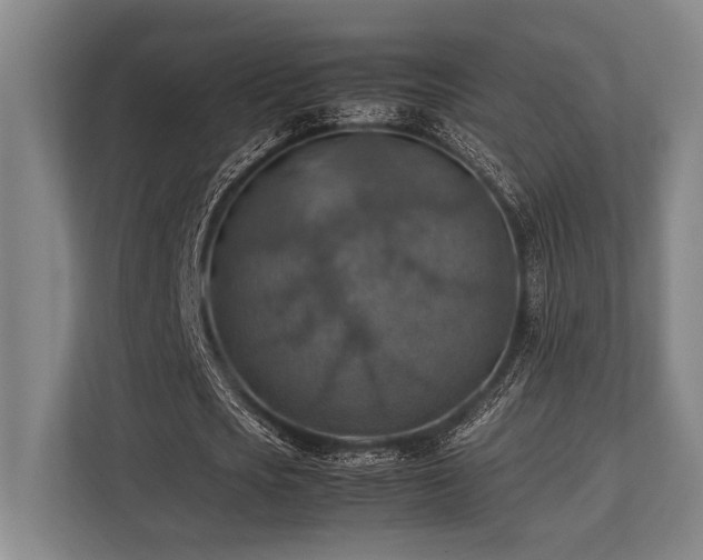 X0000113780721200909231315