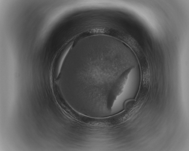 X0000113780722200909231315