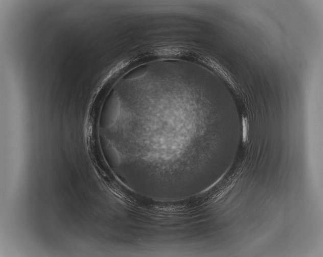 X0000113780723200909231315