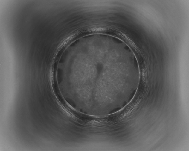 X0000113780725200909231315
