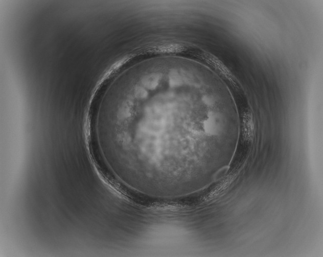 X0000113780726200909231315