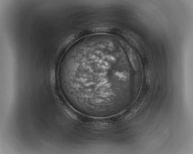 X0000113780729200909231315