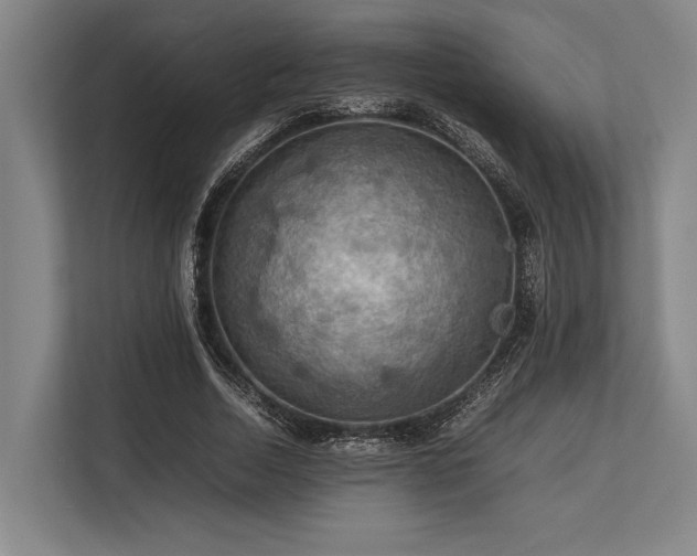 X0000113780730200909231315