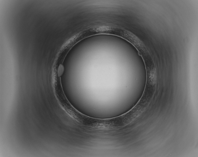 X0000113780732200909231315
