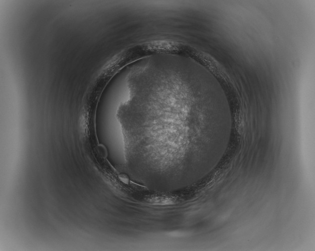 X0000113780735200909231315