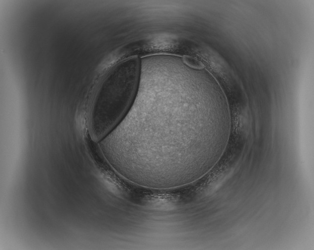 X0000113780736200909231315