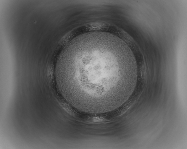 X0000113780737200909231315