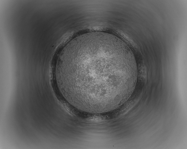 X0000113780738200909231315