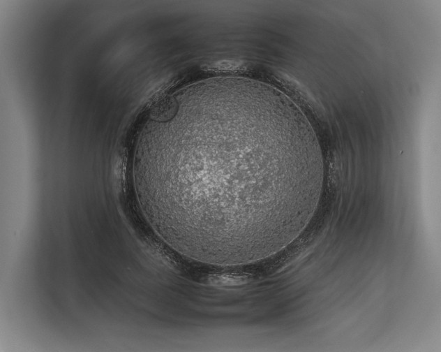 X0000113780739200909231315