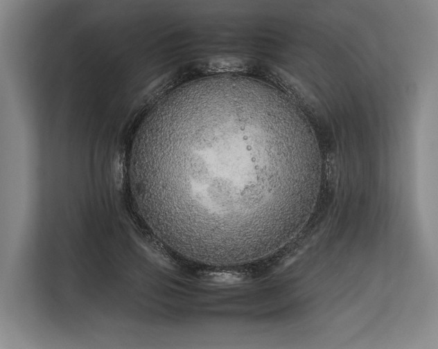 X0000113780741200909231315