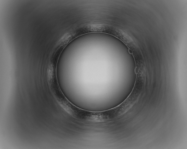 X0000113780744200909231315
