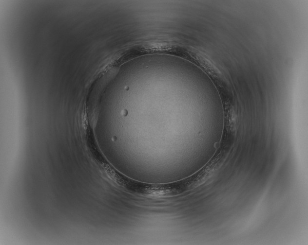 X0000113780746200909231315