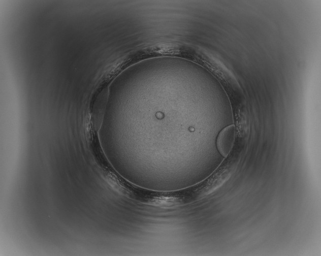 X0000113780748200909231315