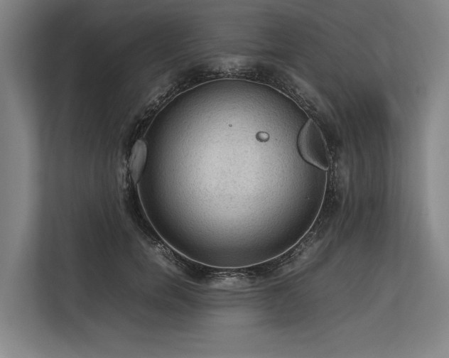 X0000113780750200909231315