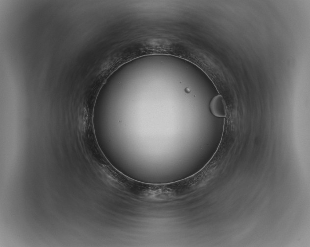 X0000113780752200909231315