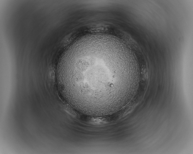 X0000113780753200909231315