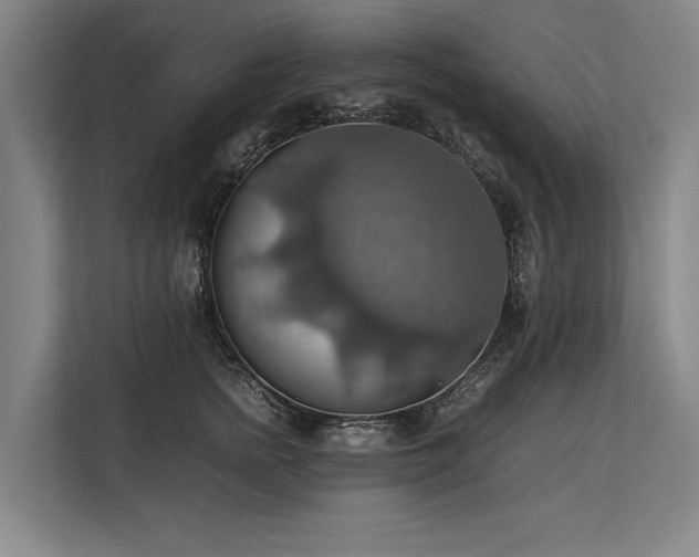 X0000113780758200909231315