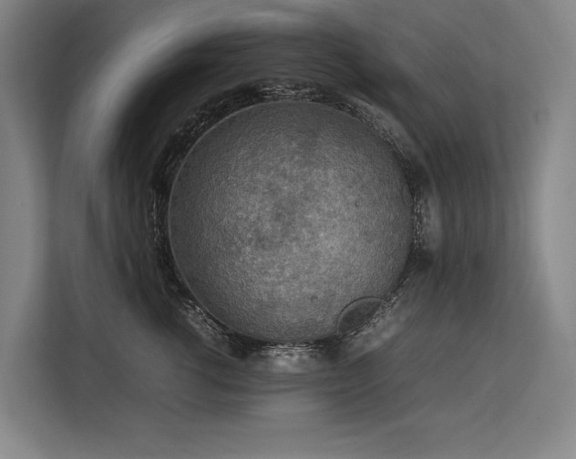 X0000113780762200909231315