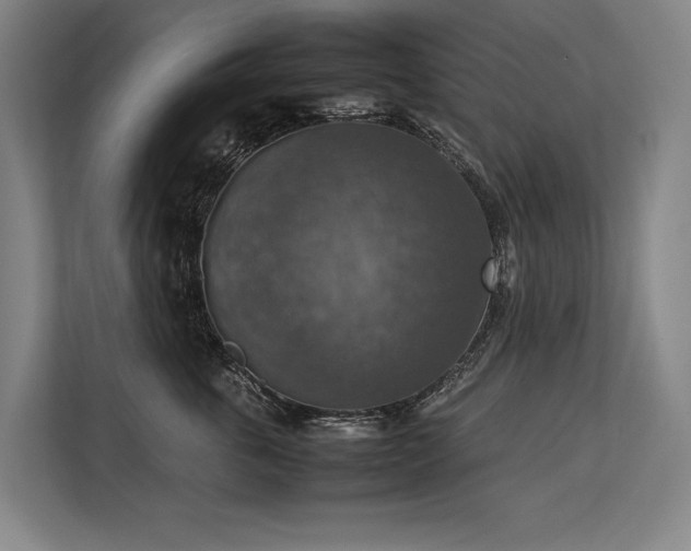 X0000113780763200909231315