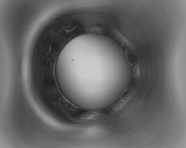 X0000113780764200909231315