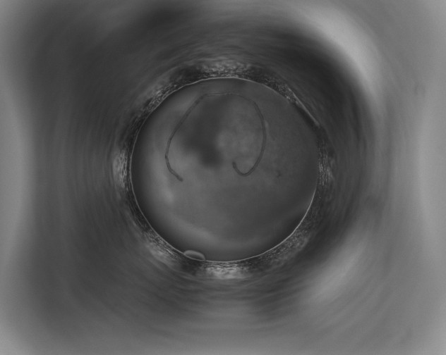 X0000113780767200909231315