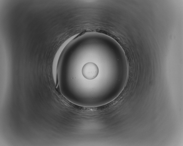 X0000113780768200909231315