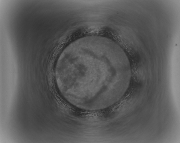 X0000113780769200909231315
