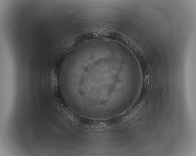 X0000113780772200909231315